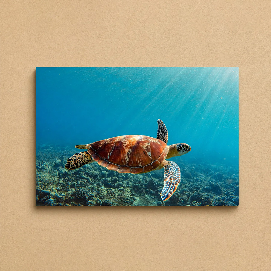 Aluminium Photo Print